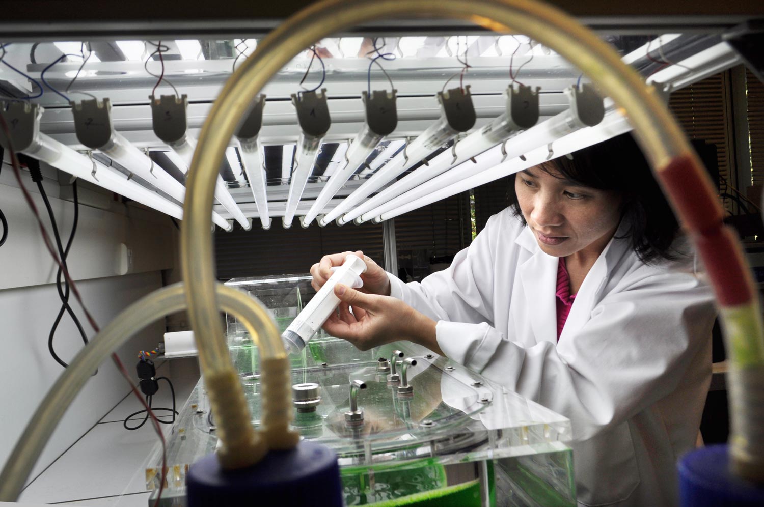 Laboratoire Gepea Genie Des Procedes Environnement Agroalimentaire